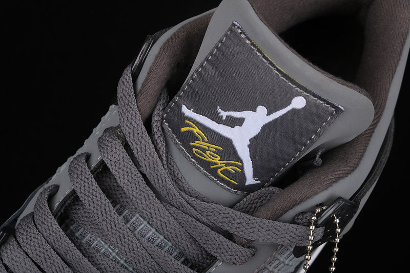 Jordan 4 Smart